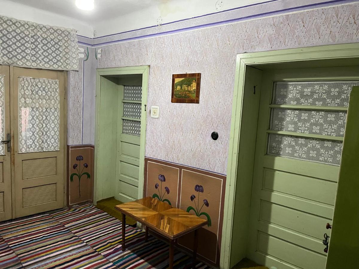 Appartement Casa Lucian à Cîrţişoara Extérieur photo