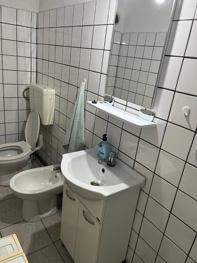 Appartement Casa Lucian à Cîrţişoara Extérieur photo