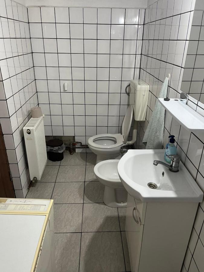 Appartement Casa Lucian à Cîrţişoara Extérieur photo
