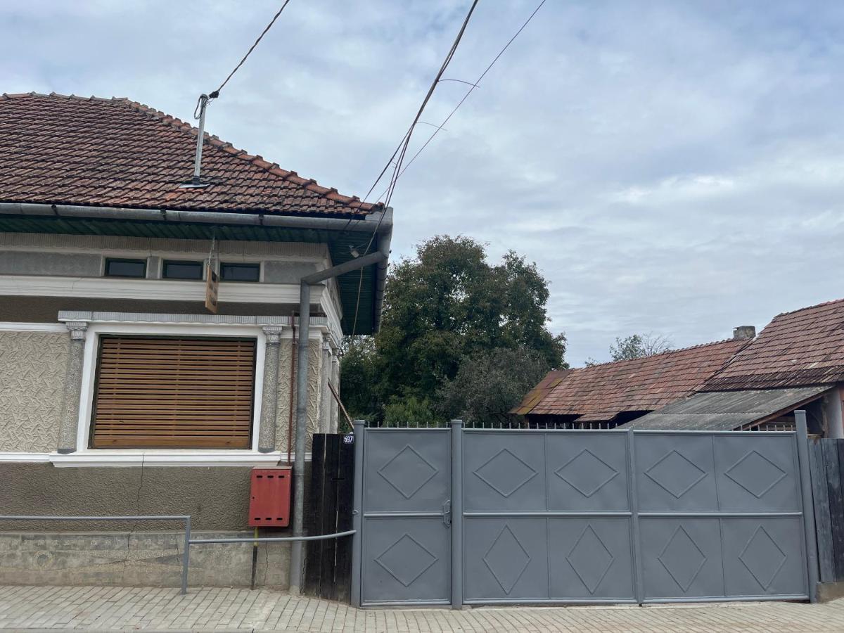 Appartement Casa Lucian à Cîrţişoara Extérieur photo